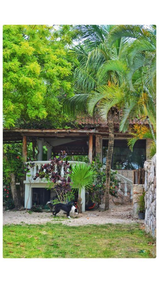 Tortuga Bacalar Bed & Breakfast Екстериор снимка