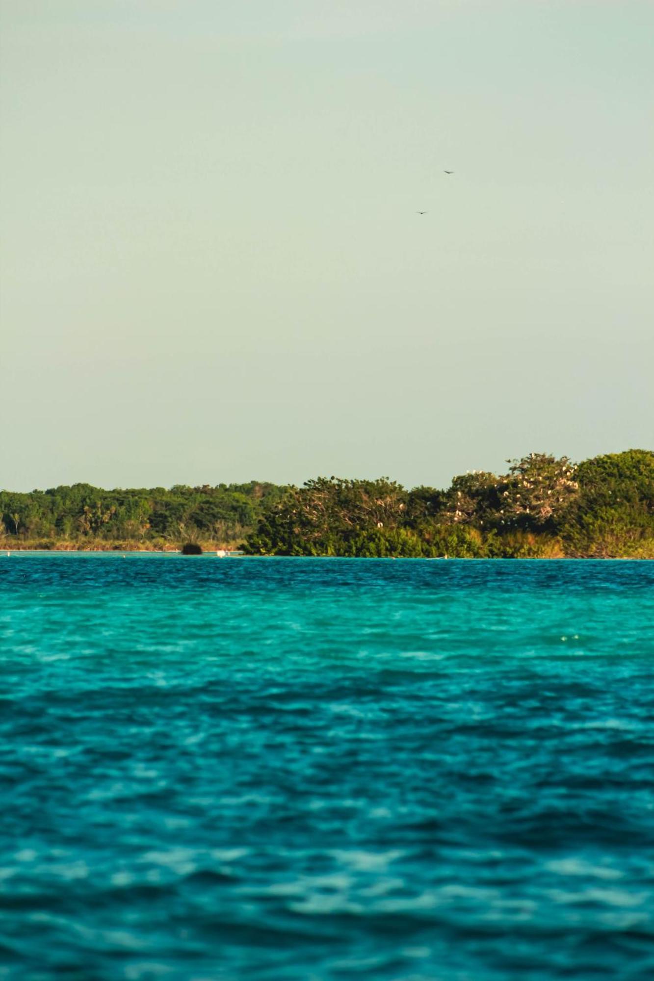Tortuga Bacalar Bed & Breakfast Екстериор снимка