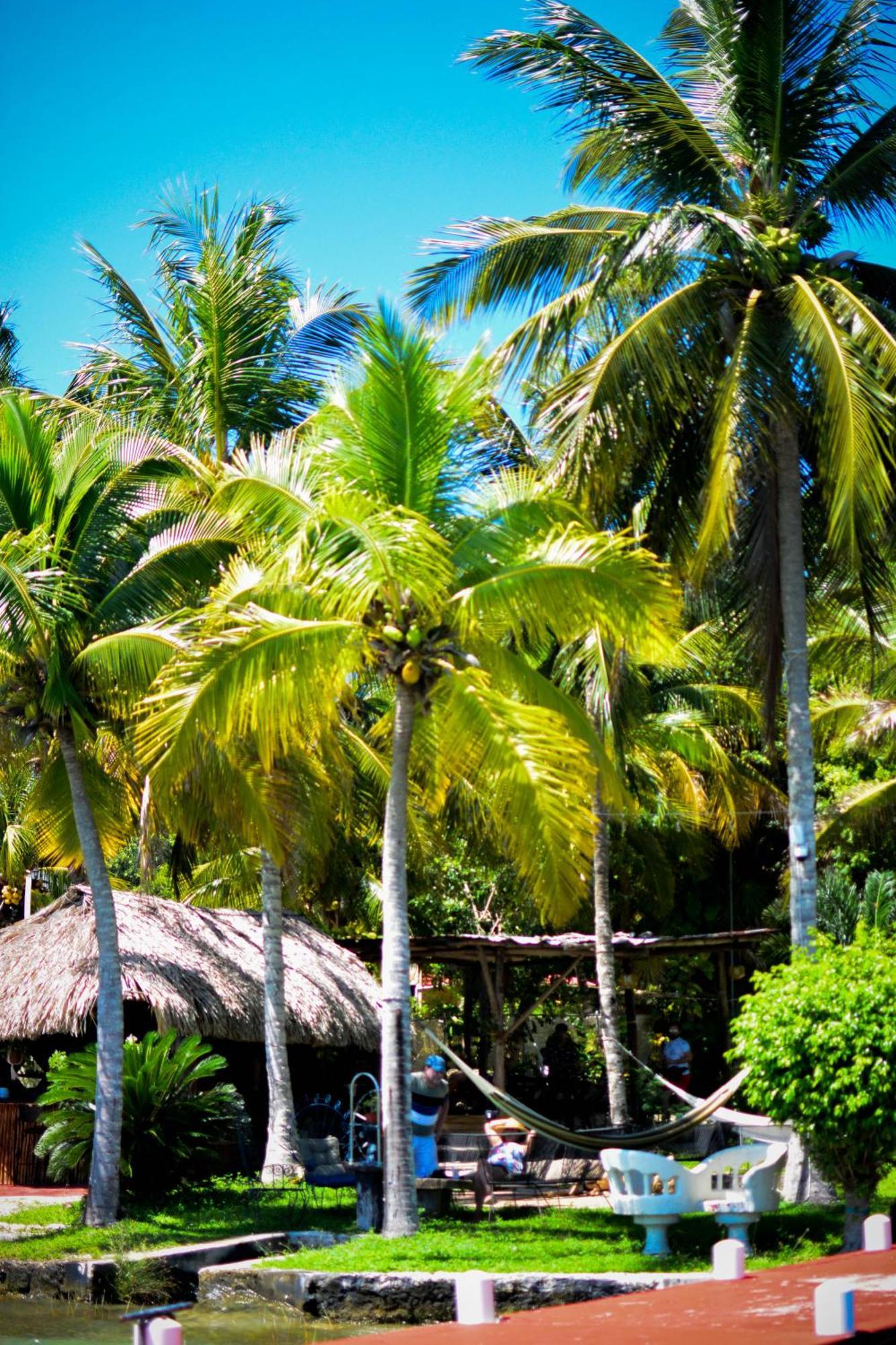 Tortuga Bacalar Bed & Breakfast Екстериор снимка